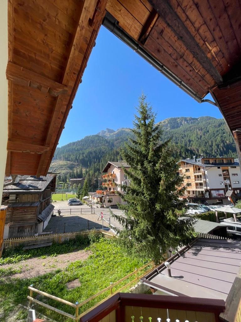 Casa Cesarina By Ama Val Di Fassa Daire Canazei Dış mekan fotoğraf